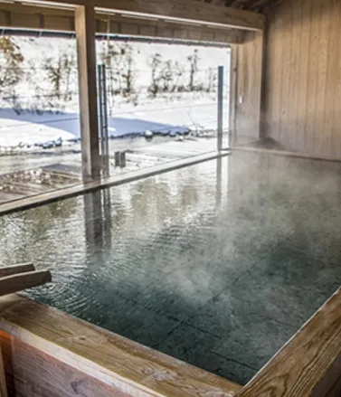 Cordless Pool Cleaning Robot