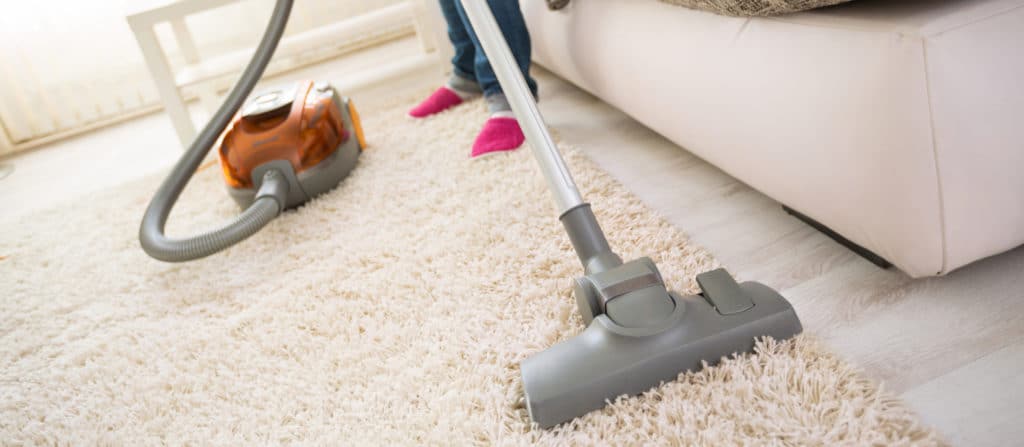Vacuum Cleaner for Fleas